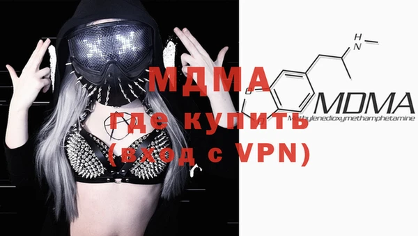 индика Вязьма