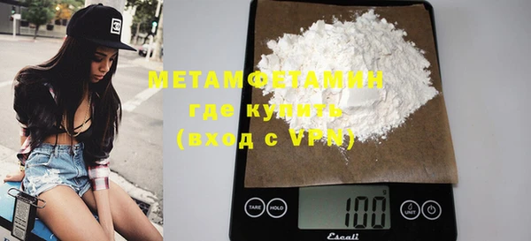 индика Вязьма