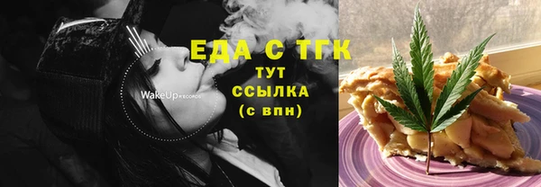 индика Вязьма
