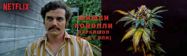 spice Волосово
