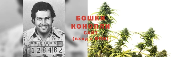 индика Вязьма
