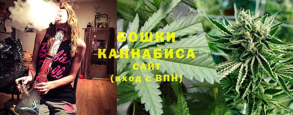 индика Вязьма