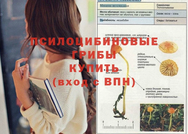 герыч Вяземский