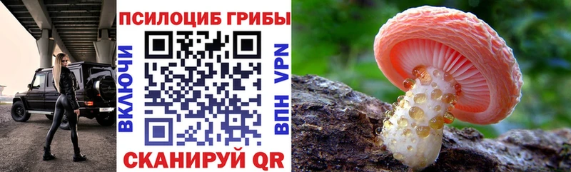Псилоцибиновые грибы мухоморы  Купить  Сковородино 